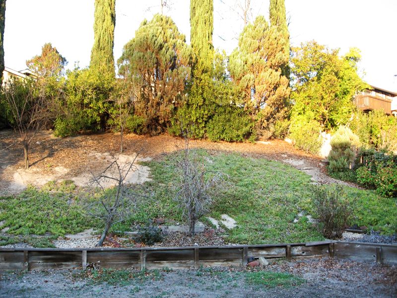 Backyard Oasis