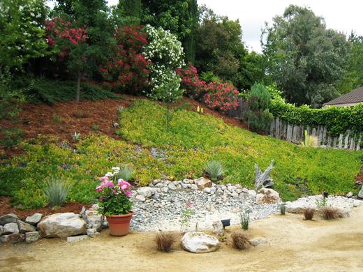 Backyard Oasis photo