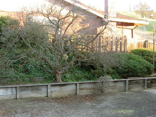 Backyard Oasis photo