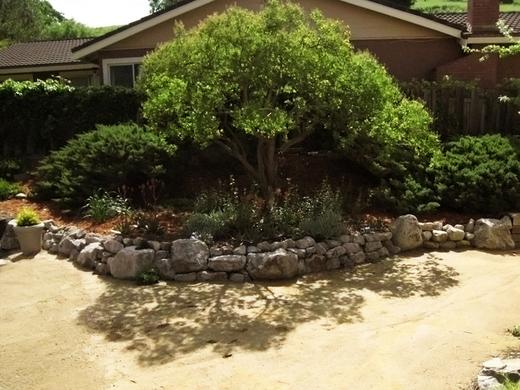 Backyard Oasis photo