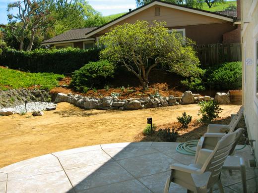 Backyard Oasis photo