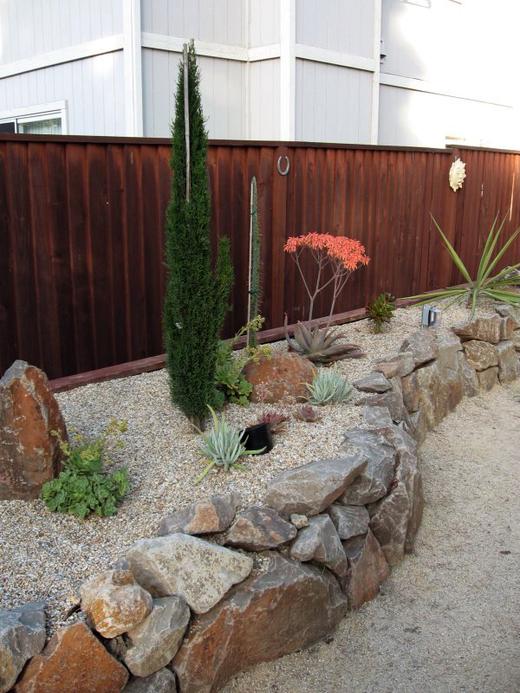Cactus Garden