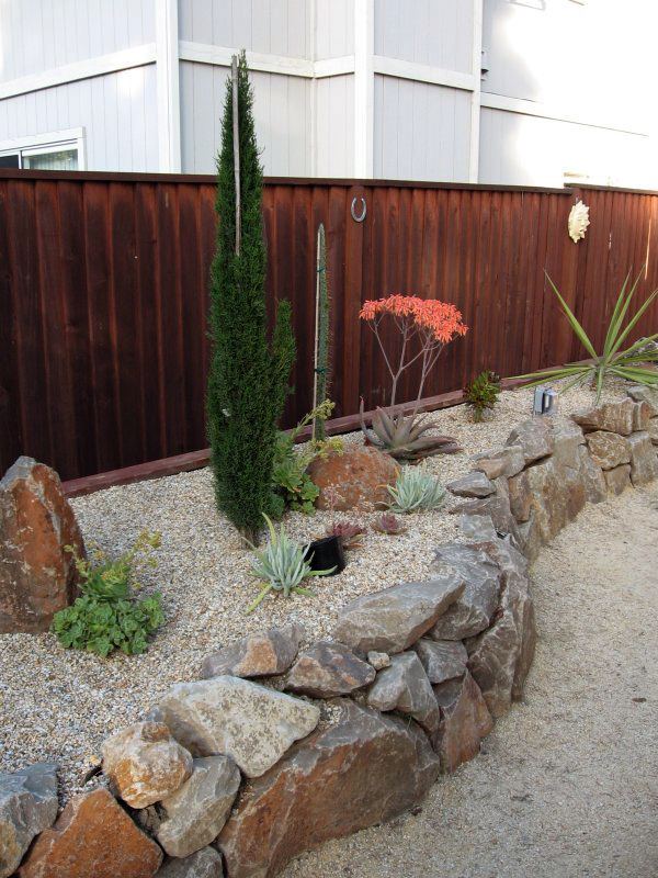 Cactus Garden