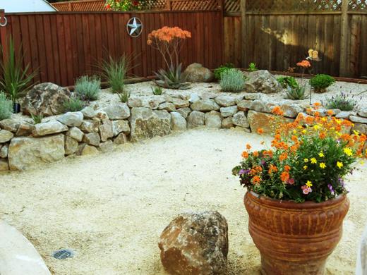Cactus Garden photo