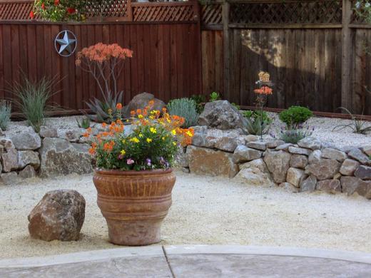 Cactus Garden photo