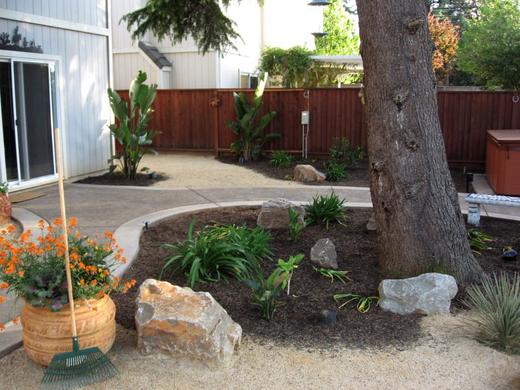 Cactus Garden photo