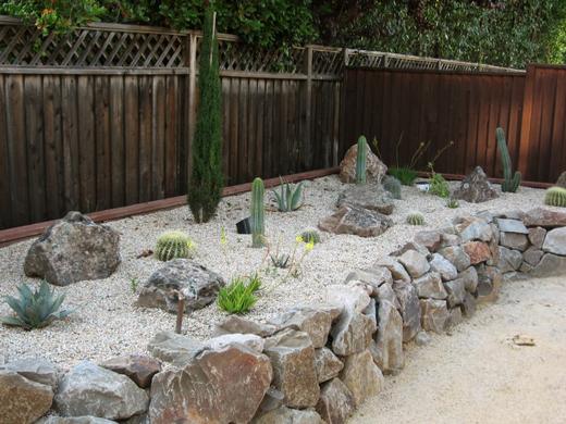Cactus Garden photo