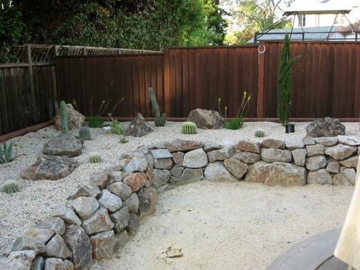 Cactus Garden photo