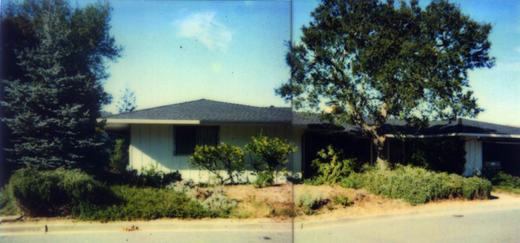 Front Yard Renovation
