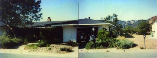 Front Yard Renovation photo