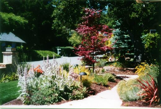 Front Yard Renovation photo