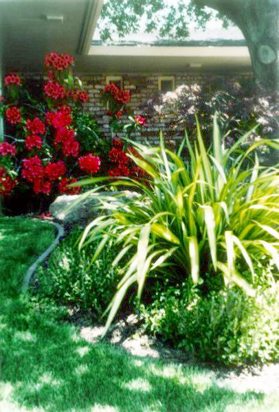 Front Yard Renovation photo