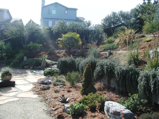 Mediterranean Garden