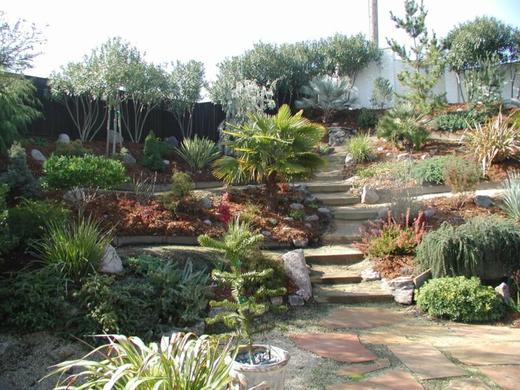 Mediterranean Garden photo