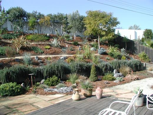 Mediterranean Garden photo