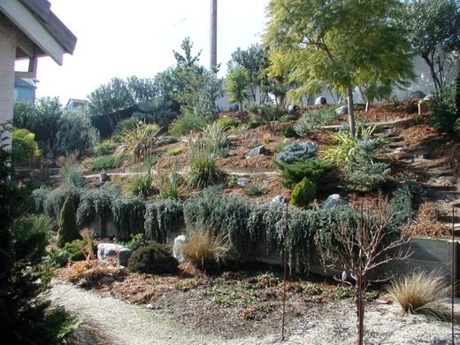 Mediterranean Garden photo