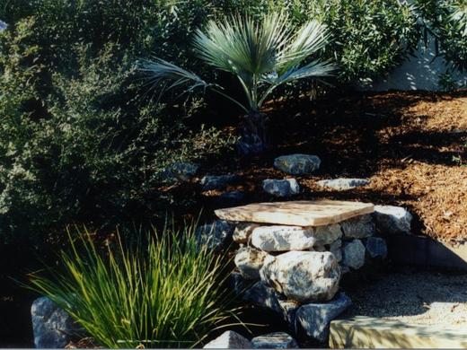 Mediterranean Garden photo