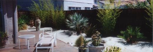 Mediterranean Garden photo