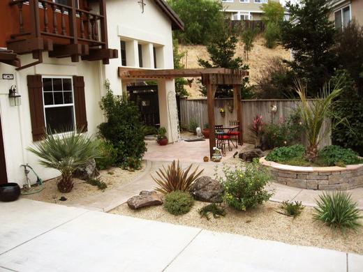 Palm Garden photo