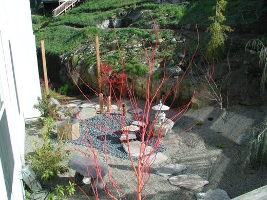 Small Asian Garden