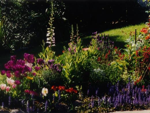 Small Backyard Garden