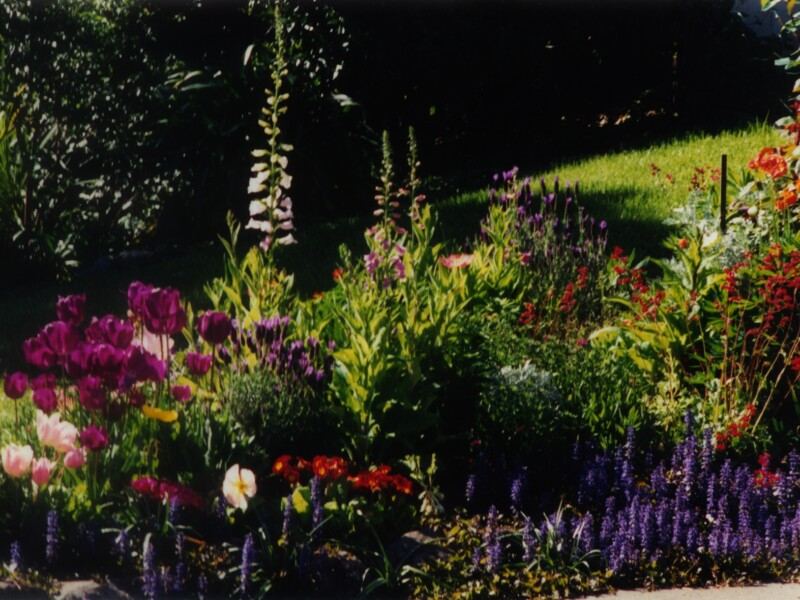 Small Backyard Garden