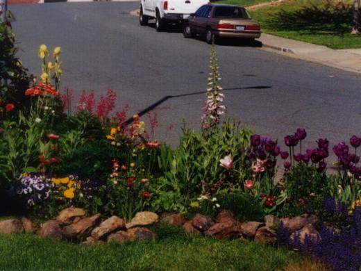 Small Backyard Garden photo